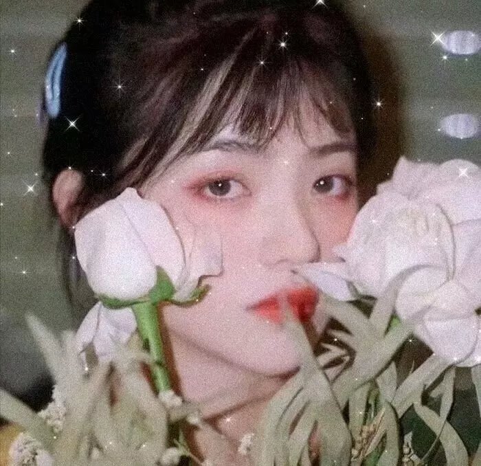 半妖的夜叉姬第一季